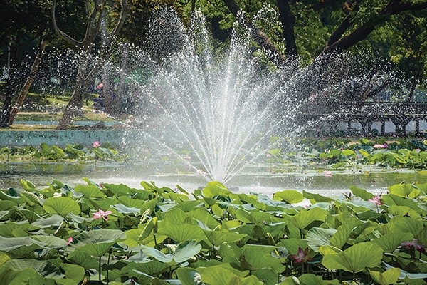 fountain in the center of lotus